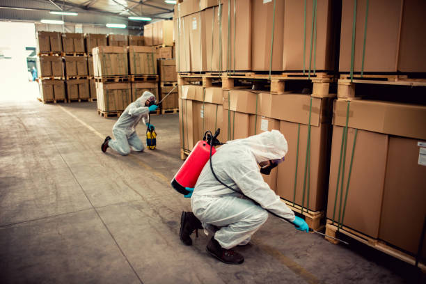 Best Pest Control Near Me in St Matthews, SC