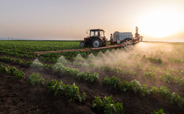 Best Commercial Pest Control Services  in St Matthews, SC