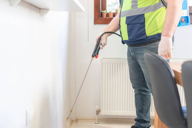Trusted St Matthews, SC Pest Control Experts