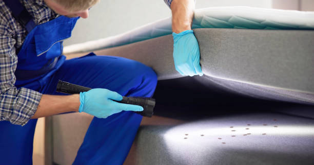 Best Bed Bug Extermination  in St Matthews, SC
