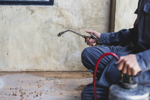 Best Pest Prevention Services  in St Matthews, SC